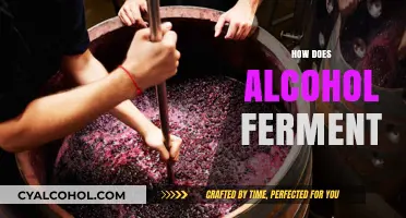Unveiling the Science Behind Alcohol Fermentation: A Step-by-Step Guide
