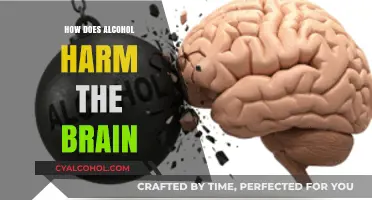 Alcohol's Impact: Uncovering Brain Damage and Cognitive Decline Risks