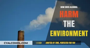 Alcohol's Environmental Impact: Uncovering the Hidden Ecological Costs of Drinking