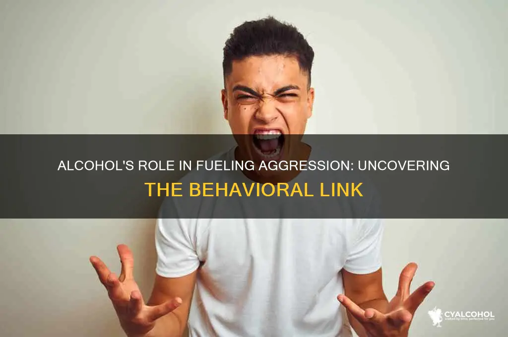 how does alcohol impact aggressive behavior
