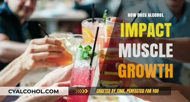 Alcohol's Effect on Muscle Growth: What You Need to Know