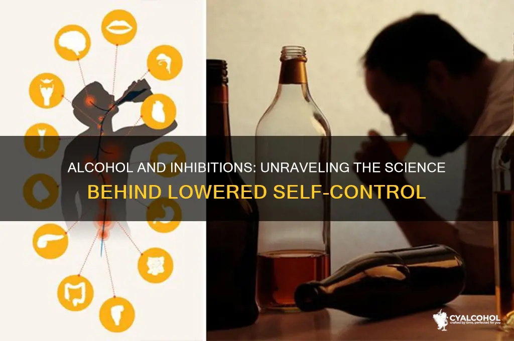 how does alcohol impact your inhibitions