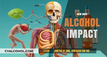 How Alcohol Impacts Your Health, Mind, and Daily Life