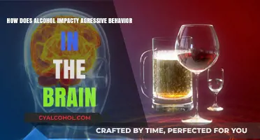 Alcohol's Role in Aggressive Behavior: Brain Insights