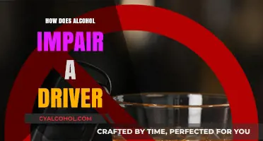Alcohol's Impact: Understanding How Drinking Impairs Driving Abilities
