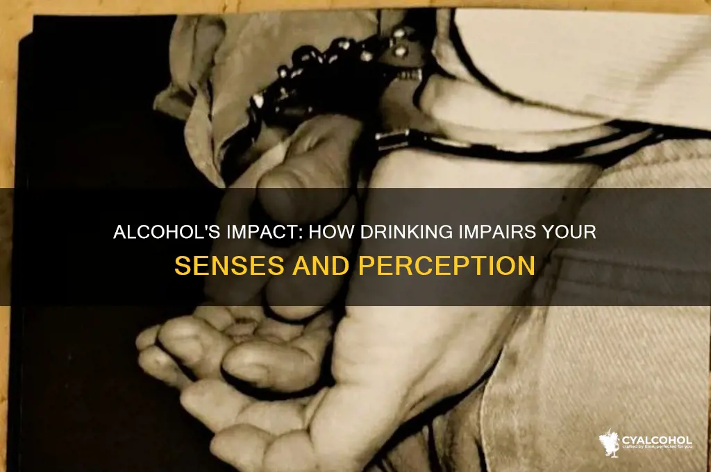 how does alcohol impair your senses