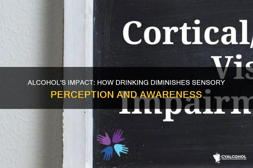 how does alcohol impairs sensory capability