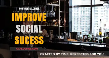 Alcohol's Role in Enhancing Social Confidence and Success