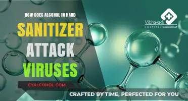 Alcohol in Hand Sanitizer: How It Effectively Destroys Viruses