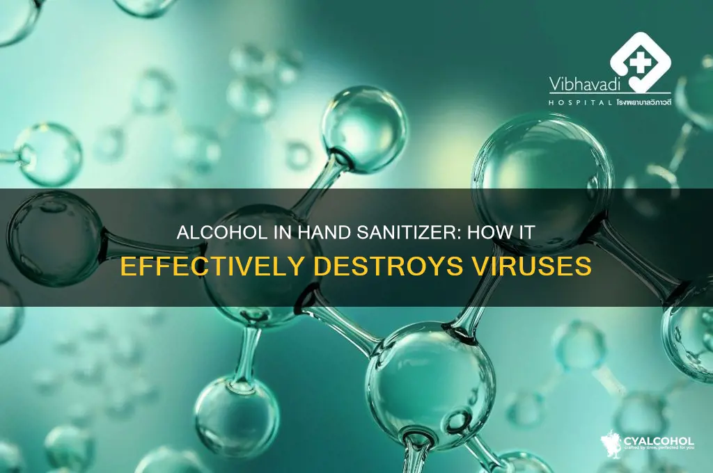 how does alcohol in hand sanitizer attack viruses
