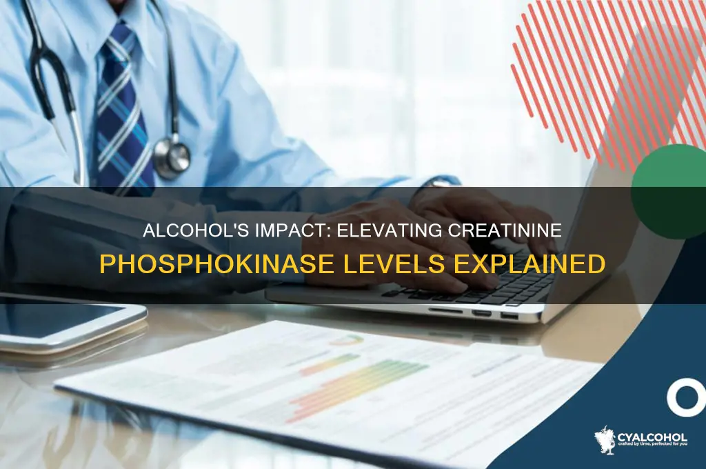how does alcohol increase creatinine phosphokinase