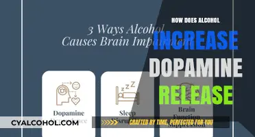 Alcohol's Dopamine Boost: Unraveling the Brain's Reward System Connection