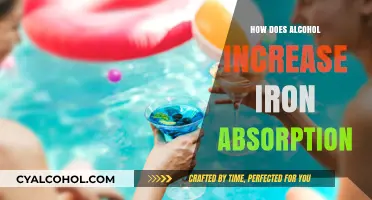 Alcohol's Surprising Role in Boosting Iron Absorption: What You Need to Know