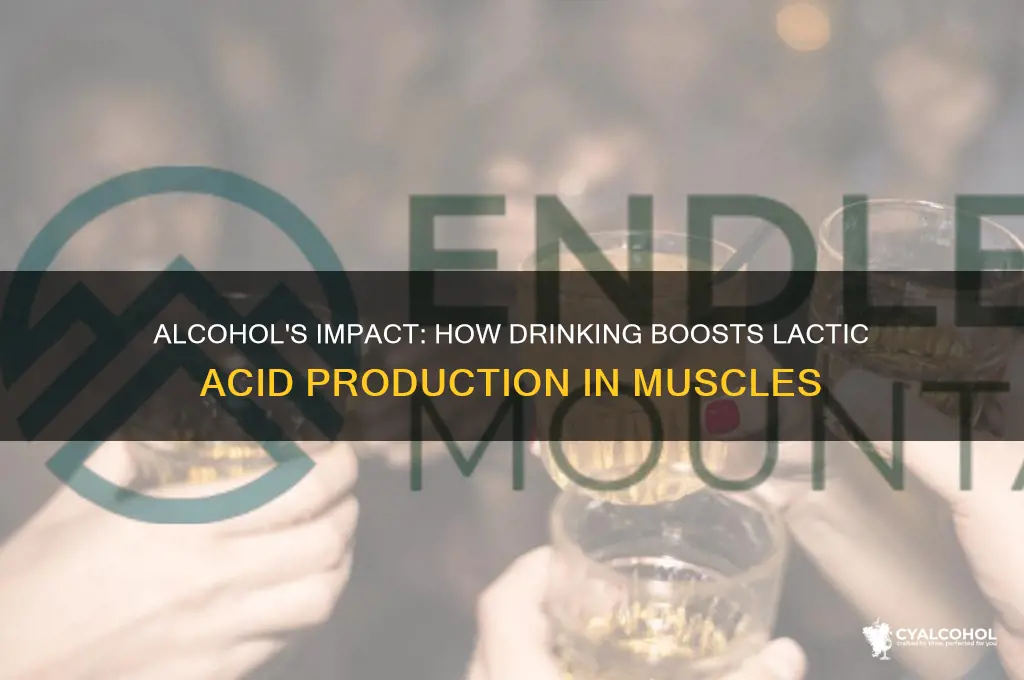 how does alcohol increase lactic acid