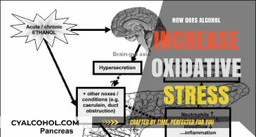 Alcohol's Impact: Unraveling How Drinking Increases Oxidative Stress