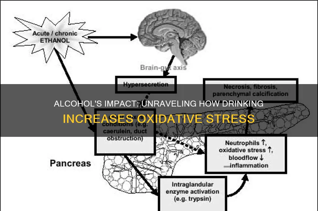how does alcohol increase oxidative stress