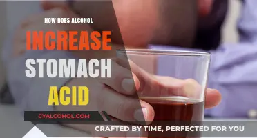 Alcohol's Impact: How Drinking Increases Stomach Acid Production
