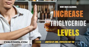 Alcohol's Impact: How Drinking Raises Triglyceride Levels in Your Body