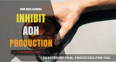 Alcohol's Impact: How Drinking Suppresses ADH Production in the Body