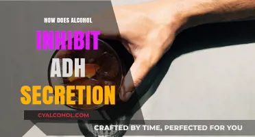 Alcohol's Impact: How It Suppresses ADH Secretion and Causes Dehydration