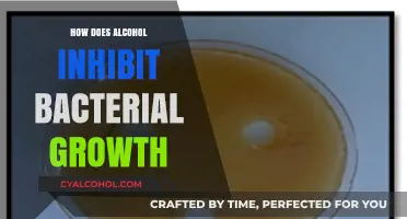Alcohol's Antimicrobial Power: How It Inhibits Bacterial Growth Effectively