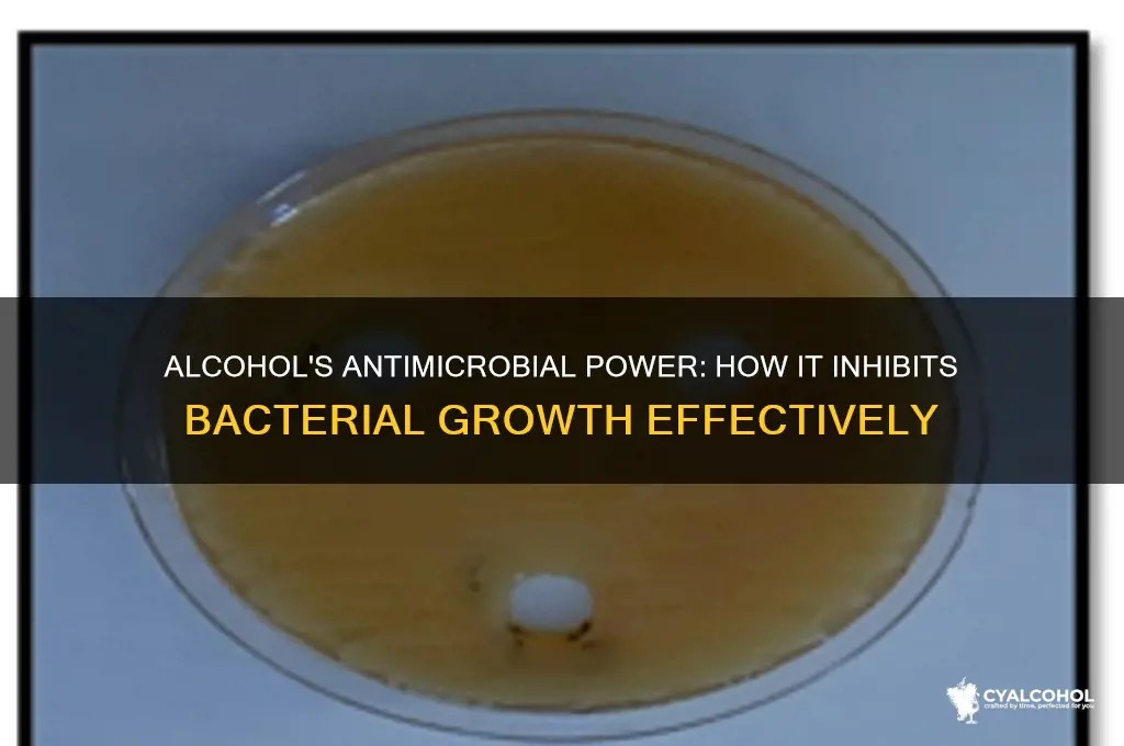 how does alcohol inhibit bacterial growth