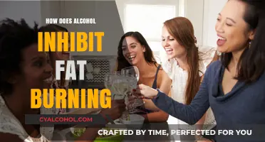 Alcohol's Impact: How Drinking Slows Down Fat Burning Processes