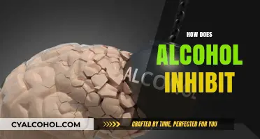 How Alcohol Inhibits Brain Function and Body Processes Explained