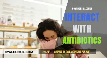 Alcohol and Antibiotics: Understanding the Risky Interaction and Effects