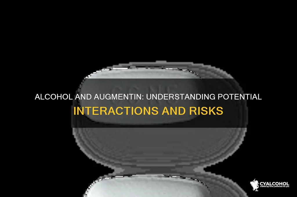 how does alcohol interact with augmentin