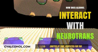 Alcohol's Impact: Unraveling Neurotransmitter Interactions in the Brain