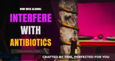 Alcohol and Antibiotics: Understanding the Risky Interaction and Side Effects
