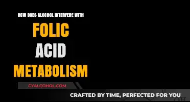 Alcohol's Impact: Disrupting Folic Acid Metabolism and Its Consequences