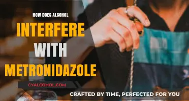 Alcohol and Metronidazole: Dangerous Interactions and Side Effects Explained