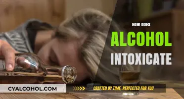 Unveiling Alcohol's Intoxicating Effects: A Journey Through the Body and Mind