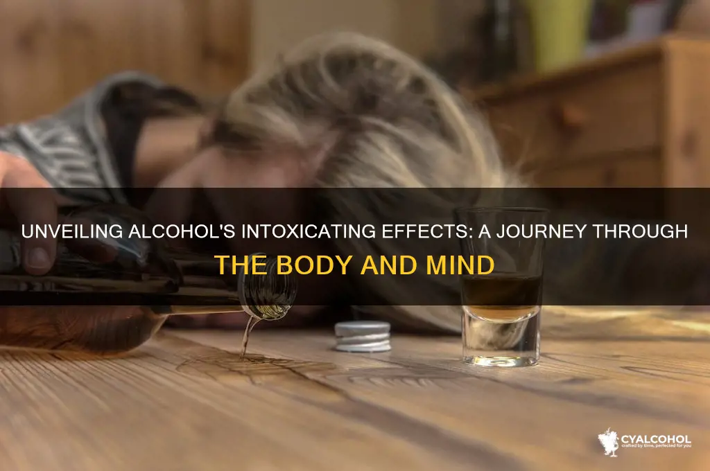 how does alcohol intoxicate