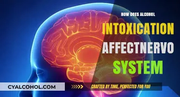 Alcohol's Impact: How Intoxication Disrupts the Nervous System