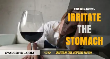 Alcohol's Impact: How Drinking Irritates Your Stomach and Causes Discomfort