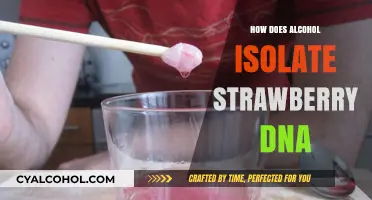 Extracting Strawberry DNA: Alcohol's Role in Isolation Techniques Explained