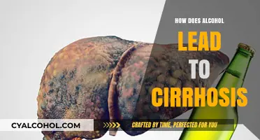 Alcohol's Path to Cirrhosis: Understanding Liver Damage and Prevention