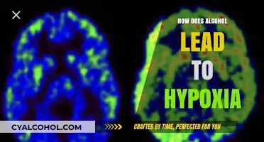 Alcohol's Impact: Unraveling How Drinking Causes Hypoxia in the Body