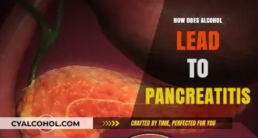 Alcohol's Role in Pancreatitis: Understanding the Dangerous Connection