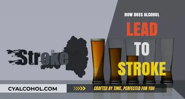 Alcohol's Hidden Danger: Understanding the Link to Stroke Risk