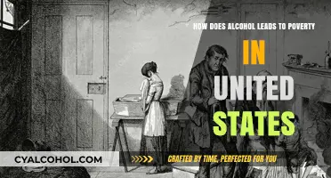 Alcohol Abuse: A Path to Poverty in the US