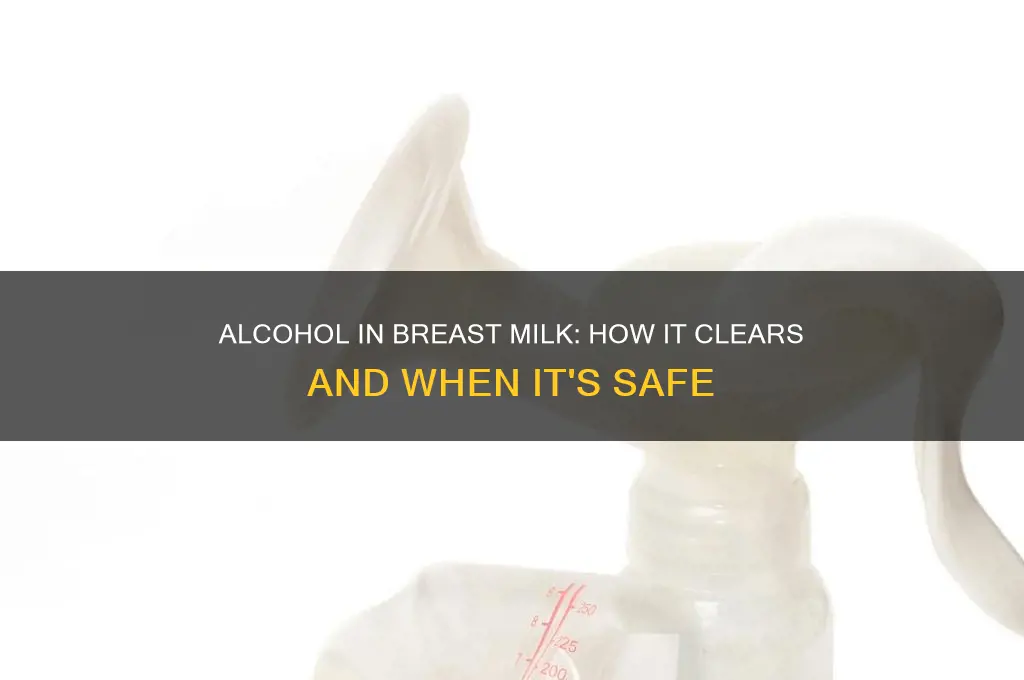 how does alcohol leave breast milk