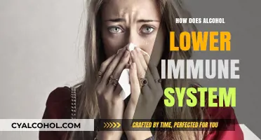 Alcohol's Impact: How Drinking Weakens Your Immune System Over Time