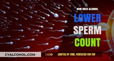 Alcohol's Impact: Understanding How Drinking Reduces Male Fertility and Sperm Count