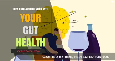 Alcohol's Impact: Unraveling Its Disruptive Effects on Gut Health