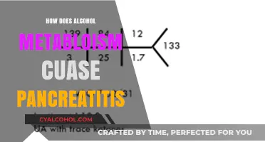 Alcohol Metabolism and Pancreatitis: Unraveling the Toxic Connection