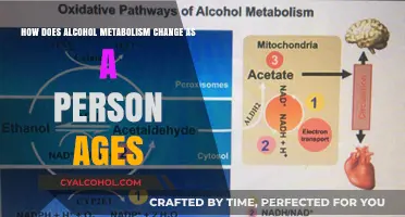 Alcohol Metabolism: Aging Effects Explained